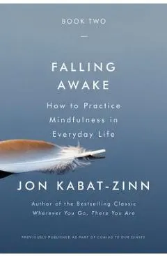 Falling Awake: How to Practice Mindfulness in Everyday Life