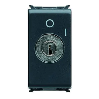 Intrerupator 2P 250V ac - 10AX - WITH KEY - SYMBOL: 0/1 - 1 modul - PLAYBUS