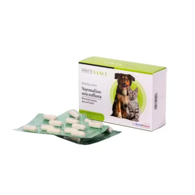 VANCE Probiotic Normalizarea Microflorei, supliment sistem digestiv câini și pisici, capsule VANCE Probiotic Normalizarea Microflorei, XS-XL, supliment sistem digestiv câini și pisici, cutie, 30 capsule