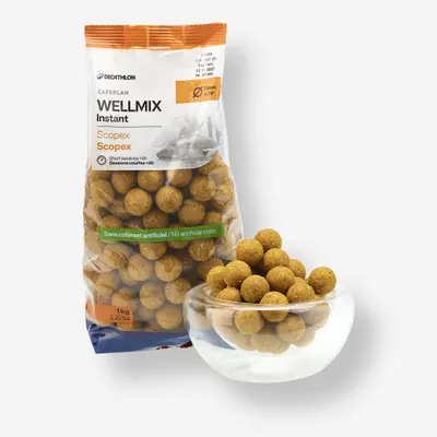 Boilies Pescuit la Crap Wellmix Instant 20mm 1kg Scopex