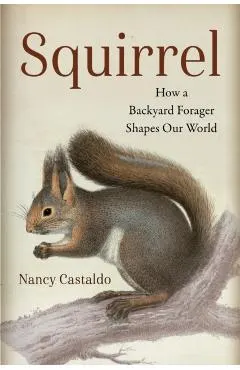 Squirrel: How a Backyard Forager Shapes Our World