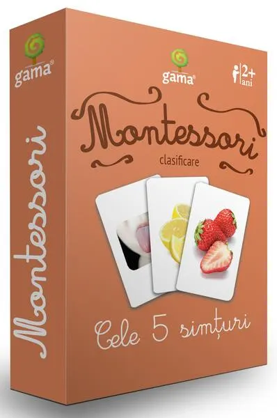Cele 5 simțuri. Cărţi de joc Montessori - Board book