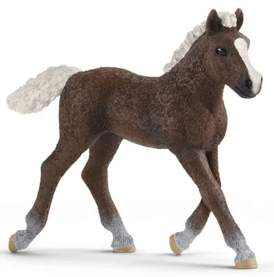Figurina Schleich Farm World Horses - Calut Black Forest cu coama alba