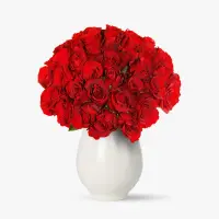 Buchet de 25 trandafiri rosii