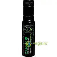 Ulei de Canepa Cu Busuioc Ecologic/Bio 100ml
