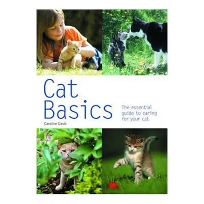 Cat Basics