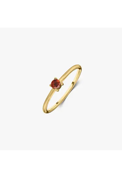 Inel din argint Birthstone Golden January - Granat