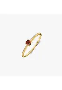 Inel din argint Birthstone Golden January - Granat