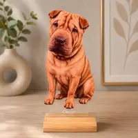 Caricatura Cel mai bun prieten - Statueta Personalizata tip Trofeu