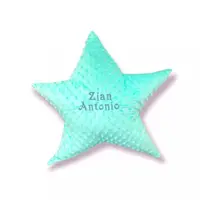 Perna decorativa personalizata Steluta din plus minky verde menta