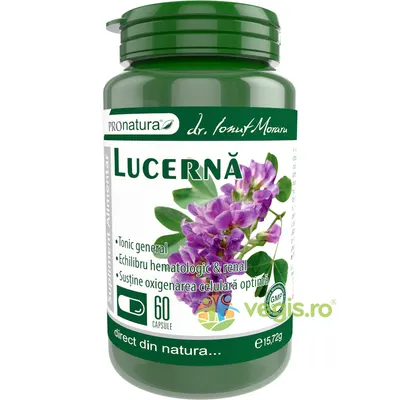 Lucerna 60cps