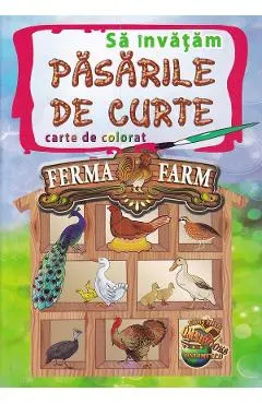 Sa invatam pasarile de curte. Carte de colorat