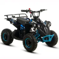 Atv electric copii XTR E-M12-6S 1000W, culoare negru albastru