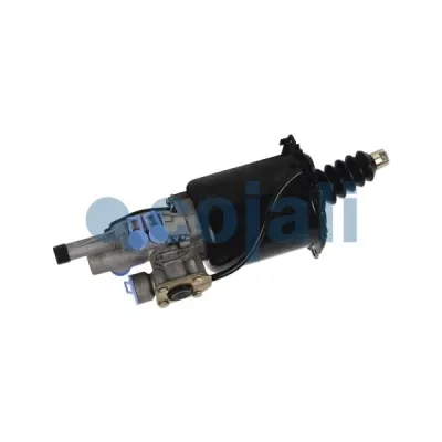 Cojali 2250250