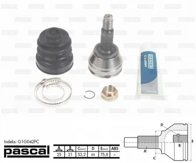 Cap planetara spre roata (25z 21z 53,2mm) FORD FIESTA V, FOCUS, FUSION 1.4 1.6 1.8 intre 1998-2008