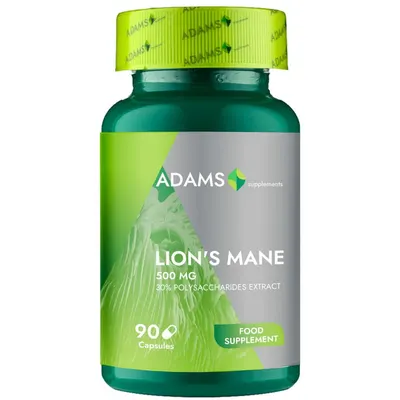 Lion's Mane 500mg 90cps