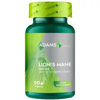Lion's Mane 500mg 90cps