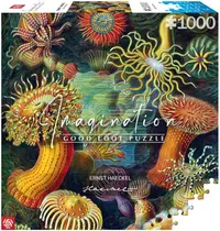 Puzzle Good Loot din 1000 de piese - Ernst Haeckel: Creaturi marine