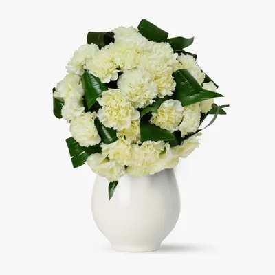 Buchet de 29 garoafe albe