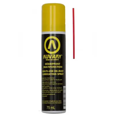 Wielofunkcyjny odrdzewiacz w sprayu - 75 ml AUVRAY