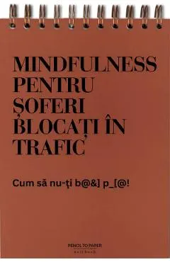 Jurnal pentru prieteni: Meditatii din trafic