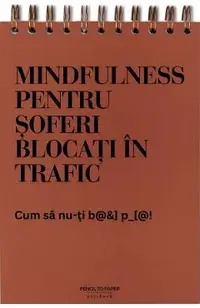 Jurnal pentru prieteni: Meditatii din trafic