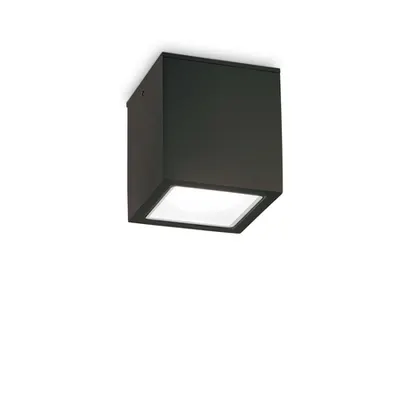 Corp de iluminat decorativ pentru exterior TECHO PL1 BIG NERO