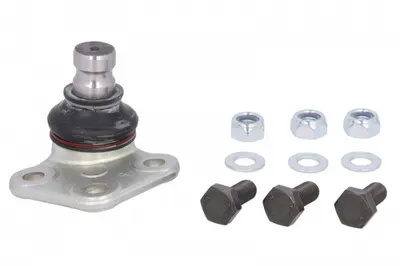 Pivot axa Dreapta (fata) (diametru con 20mm) potrivit MERCEDES CITAN MIXTO (DOUBLE CABIN), CITAN (MPV), CITAN MINIVAN (W415); RENAULT KANGOO BE BOP, KANGOO EXPRESS 1.5D-1.6LPG 02.08