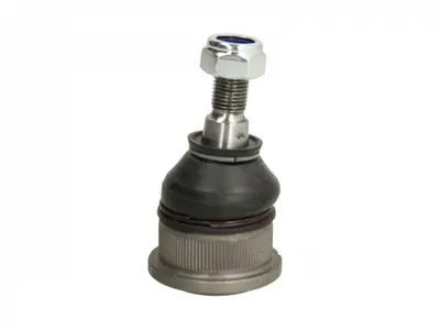 Pivot axa Dreapta Stanga (fata) (diametru con 14,2mm) potrivit RENAULT LAGUNA I, SAFRANE I, SAFRANE II 1.6-3.0 04.92-03.01