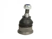 Pivot axa Dreapta Stanga (fata) (diametru con 14,2mm) potrivit RENAULT LAGUNA I, SAFRANE I, SAFRANE II 1.6-3.0 04.92-03.01