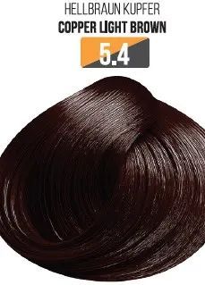 Vopsea Profesionala Fara Amoniac EVOQUE USA, Nuanta 5.4 COPPER LIGHT BROWN - Cu Ulei de Argan si 12 Aminoacizi, 100 ml - Evoque