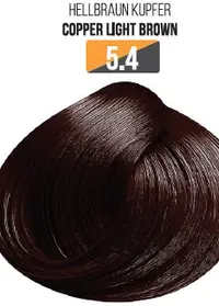 Vopsea Profesionala Fara Amoniac EVOQUE USA, Nuanta 5.4 COPPER LIGHT BROWN - Cu Ulei de Argan si 12 Aminoacizi, 100 ml - Evoque