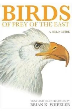 Birds of Prey of the East: A Field Guide