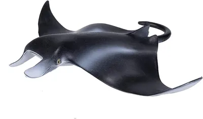 Figurină Mojo Sealife - Scat Manta