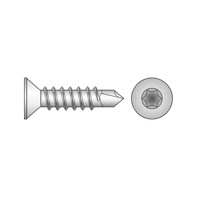 Surub Pal Autoforant Cap Inecat Inox A2-4.5 X 30 T20