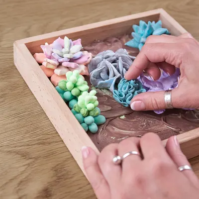 Set creativ - Wood&Craft DIY Succulents - Tenderness