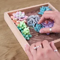 Set creativ - Wood&Craft DIY Succulents - Tenderness