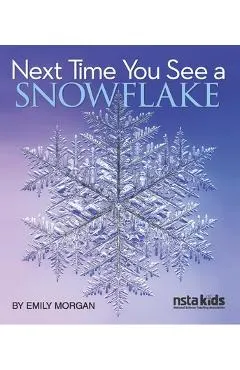 Next Time You See a Snowflake