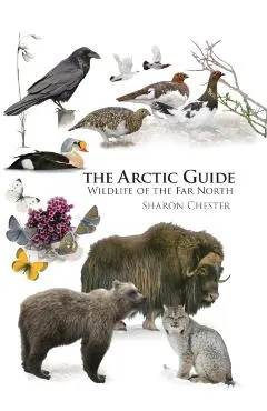 Arctic Guide