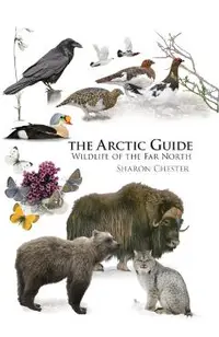 Arctic Guide