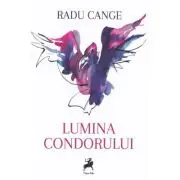 Lumina condorului