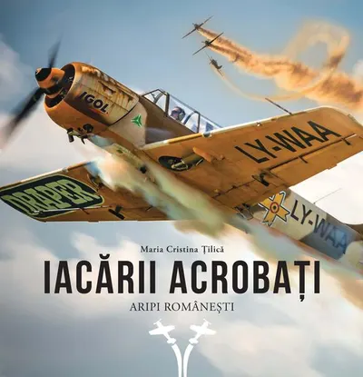 Iacării acrobați - Paperback brosat - Maria Cristina Țilică