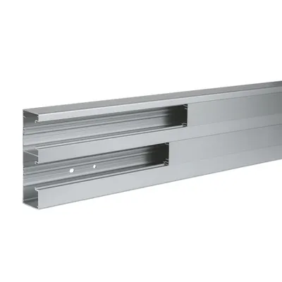 Optiline 45 - Canal De Cabluri Instalare - 165X55 Mm - Alum. - Natural - 2000 Mm