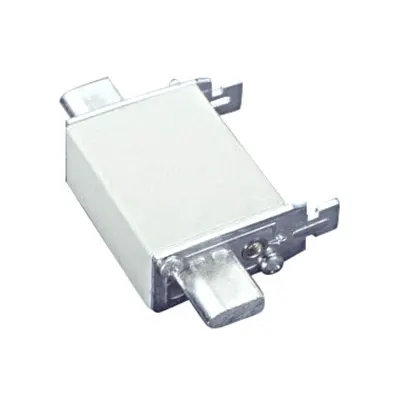 Siguranţă fuzibila 00gG 690V AC 100A