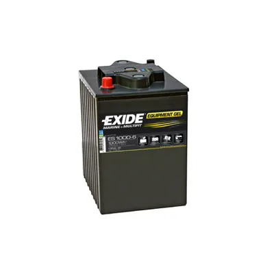Exide Es1000-6