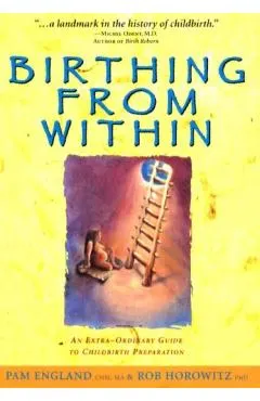 Birthing from Within: An Extra-Ordinary Guide to Childbirth Preparation