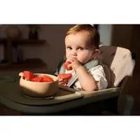 Scaun de masa multifunctional Jane Noah Mist, de la 6 luni la adult, din lemn fag, greutate maxima 100 kg