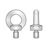 Surub Ridicare 580 Inox A2-M6