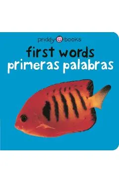 Bilingual Bright Baby First Words