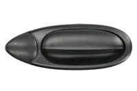 Maner usa Dreapta Spate potrivit FIAT MULTIPLA 1999-2010 - (exterior; textura neagra)